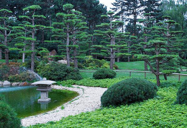 الحديقة اليابانية